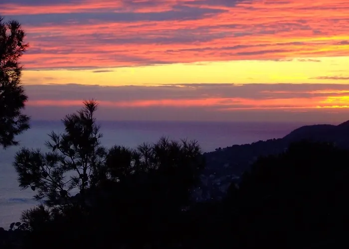 公寓 Simone 卡尔特汉