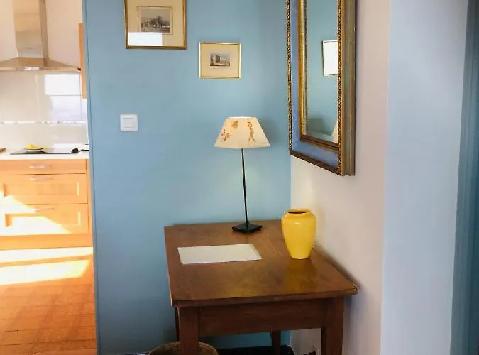 Simone 카르쿠에이란느